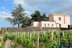 EtnaDetox House - Image 3