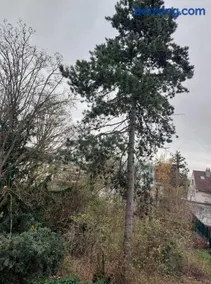 One bedroom flat with balcony - Image 2