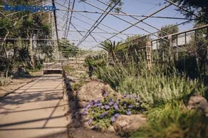 Ros'e Mari Green Home Hotel - Image 2