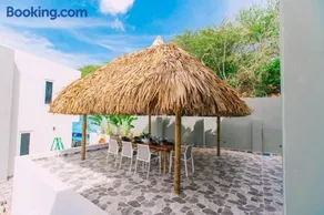 Casa Sun's Buddy - Image 5