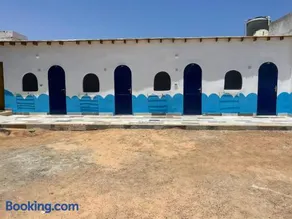 Dolphin Camp - Image 3