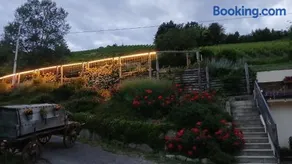 1929 Wine Food Relax Agriturismo - Image 5