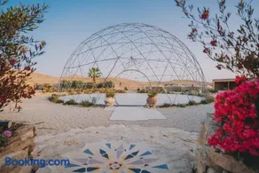 Alpaca Farm - חוות האלפקות - Image 4