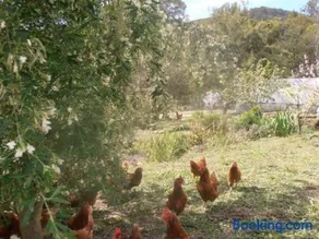 Walden Cottage Gardenfarm Hiawatha - Image 2