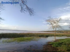 Oasis Eco Camp - Image 4