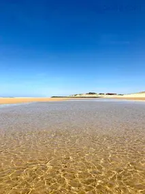 Vue Mer - Au Coeur de Contis Plage - Image 1
