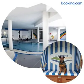 Kleiner Garten Sauna und Hallenbad kostenlos Hund willkommen - Image 1