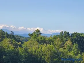 Huny Bear Lodge - Image 4