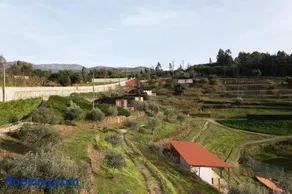 Ecofurtado - Image 2