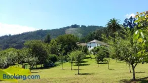 Corredoira - Image 3