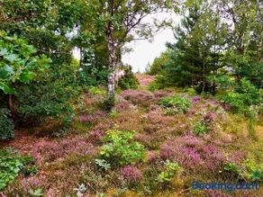 8829-Glesborg-Lyngvej-4 - Image 3