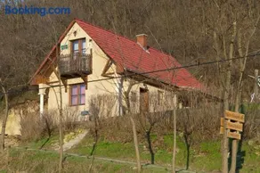 Sas-Fészek Vendégház - Image 2