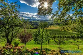 Farm Stay Jarc Vineyard - Image 2