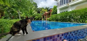AnAn Boutique Bungalows with Private Kitchen - Image 1