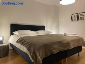 3 BR Duplex in Wiedikon - Image 5