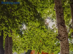 Eko Kamp Luke - Lukavica, Nikšić - Image 3