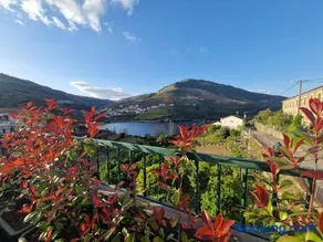 Casa dos Avós - Folgosa Douro - Image 1