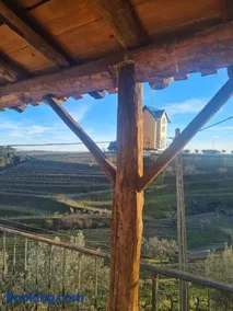 Quinta das Olgas - Image 2