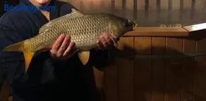Vadszőlő Apartmanház Gyomaendrőd - Image 2