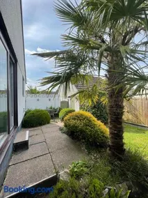 Sunny detached bungalow, Nr Looe - Image 4