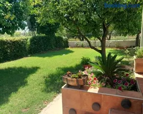 Pelion Malaki- Casa Verde - Image 2