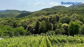 Dedina Klet - Vineyard Cottage with Mountain View - Image 1