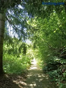 Ferienpark Sonnenhof - Image 2