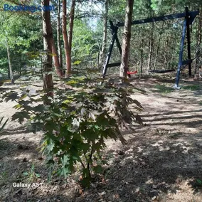 Domek LEŚNICZÓWKA Gorzewo - Image 3