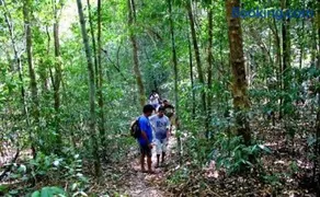 Adventure Inn Dandeli - Image 2