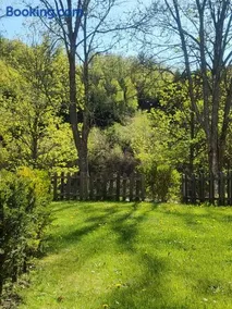 Bachlauf und Waldblick Stünzel - Image 4