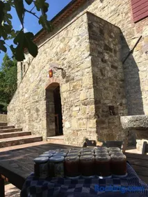 Podere Lama - Image 3