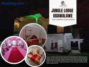 Jungle Lodge - Image 2
