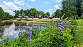Liten uggla - Image 1