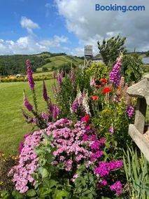 Westerley Country B & B with exclusive Guest lounge - Image 4