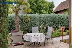 Wein- Und Obstbau Rupp - Image 3