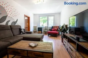 Excellent Large Lux Apartment Central Martin - Image 2