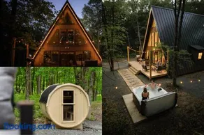 Modern A-frame in woods with Sauna, HotTub, Privacy - Image 1