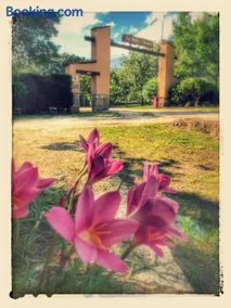 Complejo Camping La Mata - Image 4