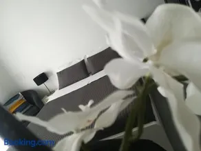 B&B Roda Barocco - Image 3