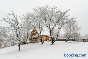 Wooden House Jela - Image 3