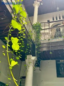 Riad Dar Dahlia Tetouan - Image 3