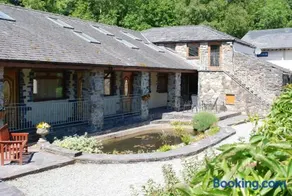 Bryn Llys for the Zip Wire - Image 2
