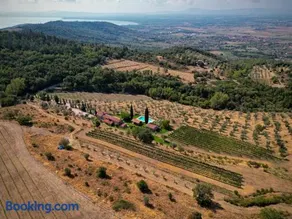 Tenuta Angelici Winery Agriturismo Henni with pool sauna and jacuzzi Cortona - Image 2
