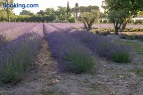 La Bastide des Lavandins - Image 2