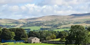 Stay Lambing Live - Image 2