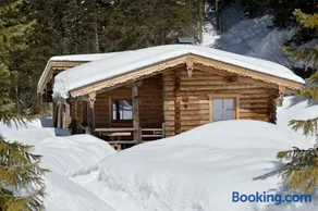 Almnest in Hochfügen mit privat SPA - Image 5