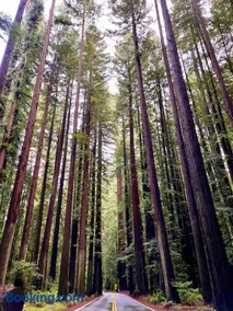 Avenue of the Giants Caraway Cottage - Image 3
