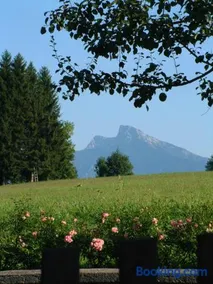 Erlachmühle - Image 2