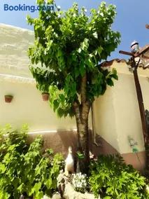 Casa Caete - Image 4