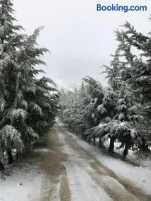 Agriturismo Serra Moneta - Image 2